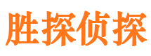 龙凤找人公司